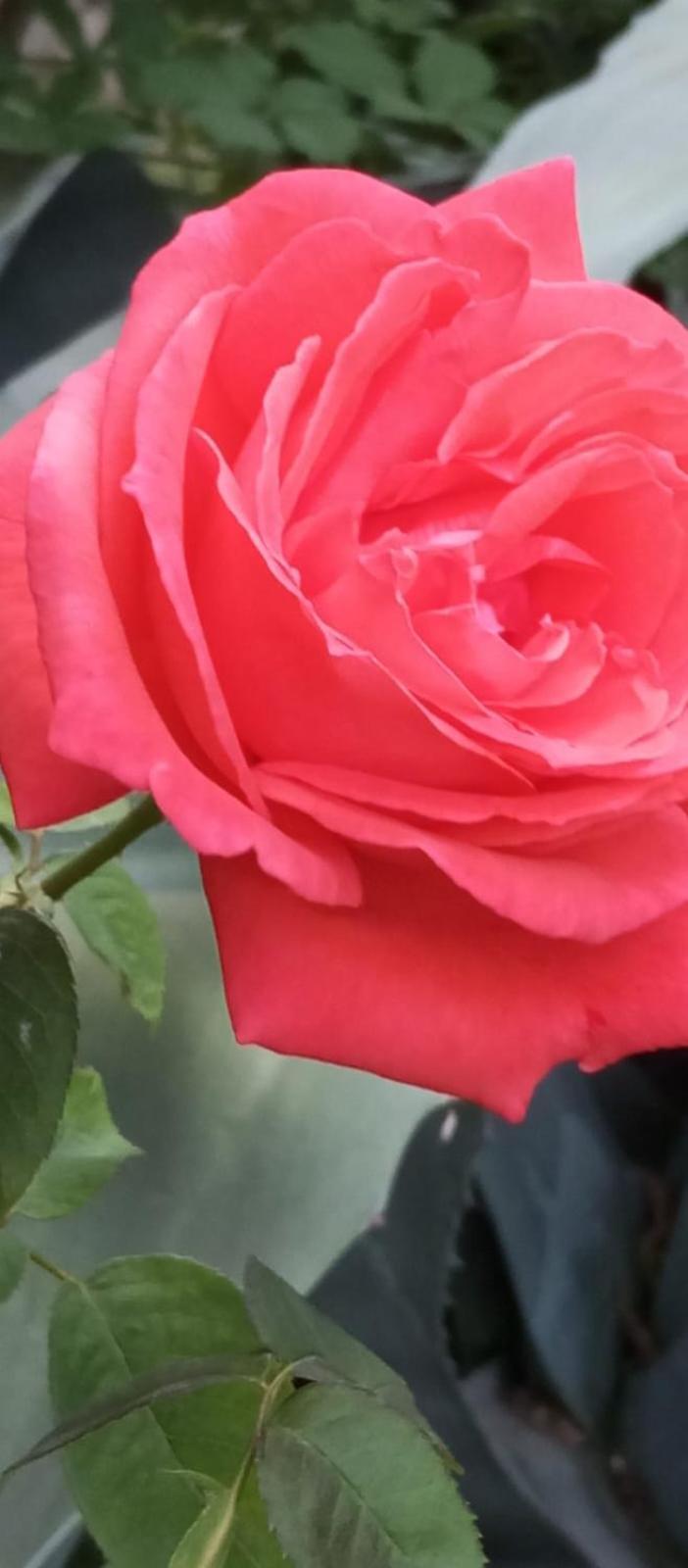 Magnanerie Le Mas D'Elise Boisset-et-Gaujac エクステリア 写真