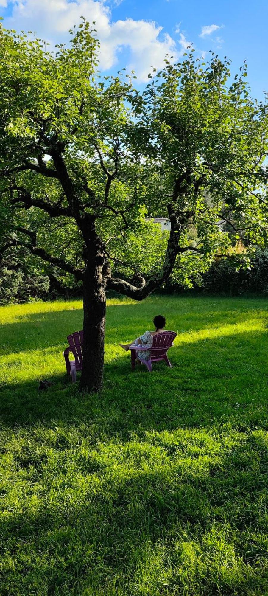 Magnanerie Le Mas D'Elise Boisset-et-Gaujac エクステリア 写真