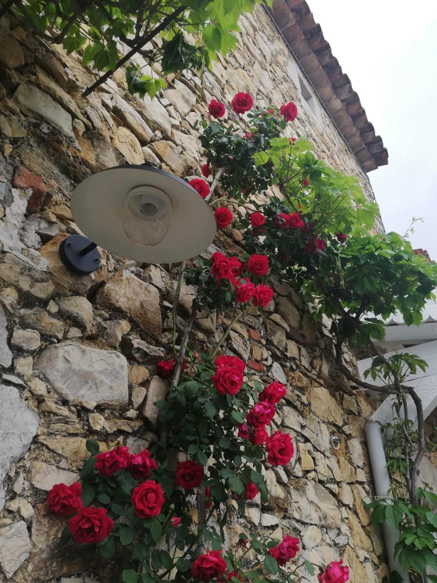 Magnanerie Le Mas D'Elise Boisset-et-Gaujac エクステリア 写真