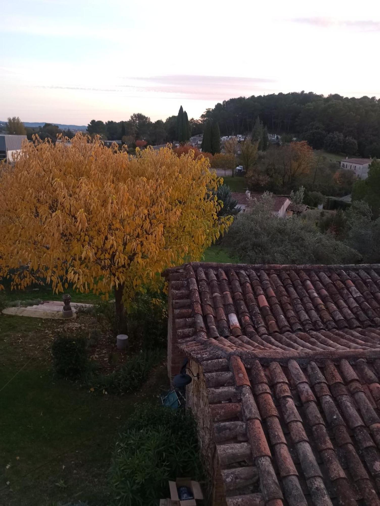 Magnanerie Le Mas D'Elise Boisset-et-Gaujac エクステリア 写真
